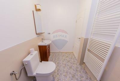 Casă individuală cu 8 camere cu Teren 6370 Mp în Groșii Țibleșului - 14