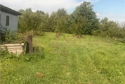 Teren de 8000 mp, în Ardusat