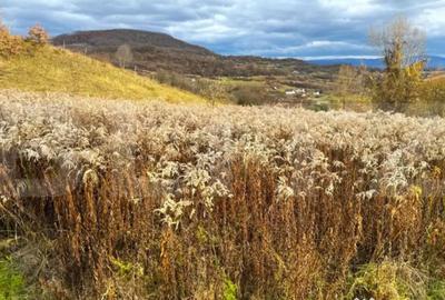 Teren de 2400 mp, în Central - 2