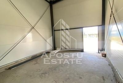 Hala noua de inchiriat 550 mp, birouri, parcare, Sacalaz. - 6