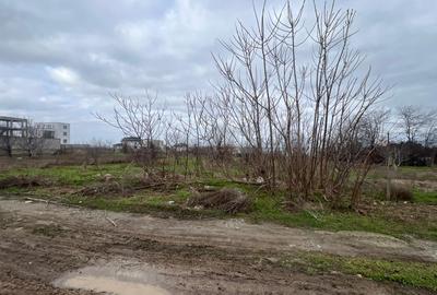 Teren Construcții intravilan de 790 mp, în Palazu Mare - 2