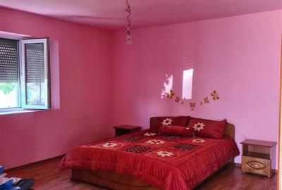 Casă cu 2 camere în Românași - 6