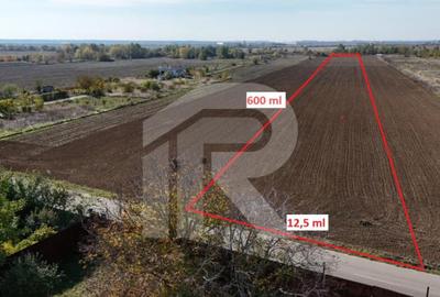Teren de 7344 mp, în Joița - 7