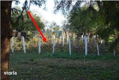 Teren de 5100 mp, în Bolintin-Deal - 5