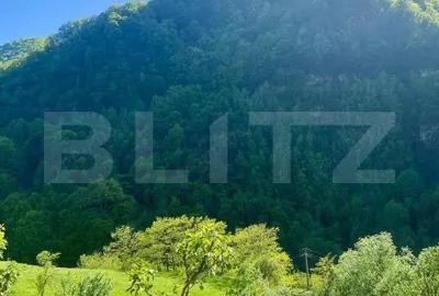 Casa de vacanta cu 4 camere, 1470 mp teren, Sugag - 7