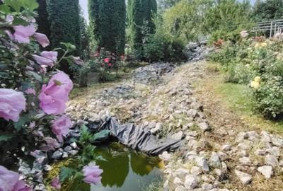 Casă cu 5 camere cu Teren 1090 Mp în Târnăveni - 9