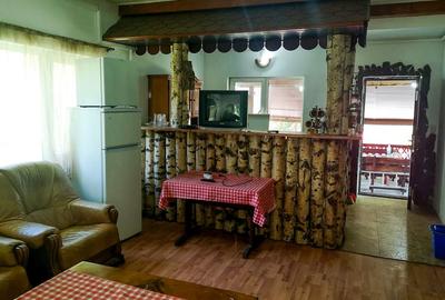 Casa de vacanta perfecta pe malul Cernei - 11