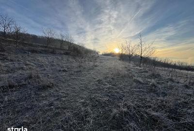 Teren de 2700 mp, în Gușterița - 5