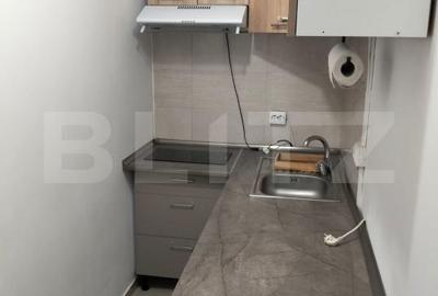 Garsonieră, mobilată în Bucium - 3