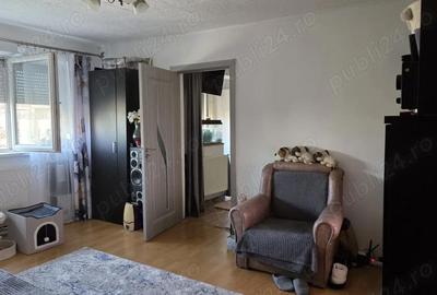Apartament cu 2 camere semidecomandat în Iosefin - 5