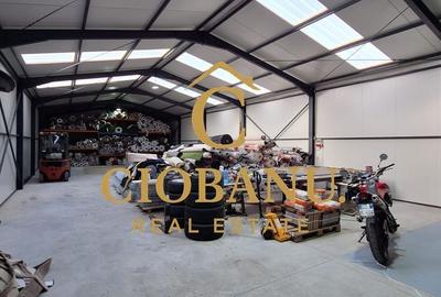 Hala de vanzare in Racari de Jos - 3