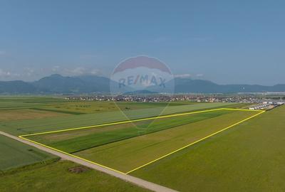 Teren 42,000mp Tarlungeni / Strada Izvor - 3