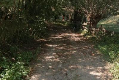 Teren Extravilan Cacica 1600mp - 2