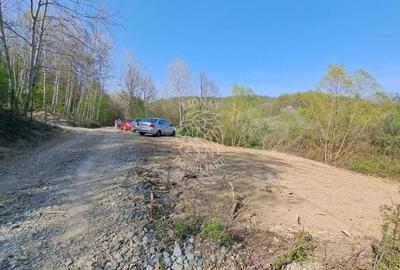 Teren Construcții intravilan de 868 mp, în Tăuții-Măgherăuș - 2