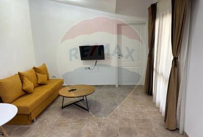 Apartament 2 camere cu terasa Gara de nord - 2