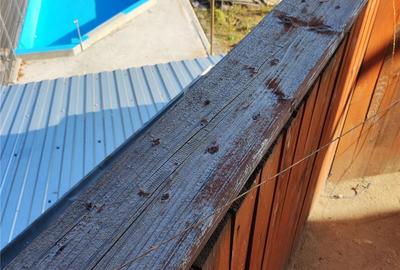 Casă cu 7 camere cu Teren 1621 Mp în Central - 2