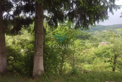 Teren Construcții intravilan de 800 mp, în Exterior Vest - 1