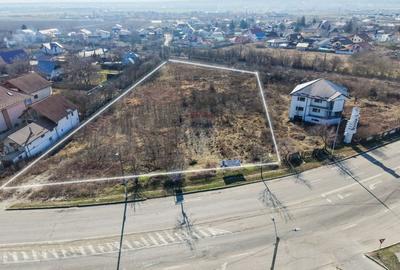 Teren Construcții intravilan de 4818 mp, în Gherăiești - 1