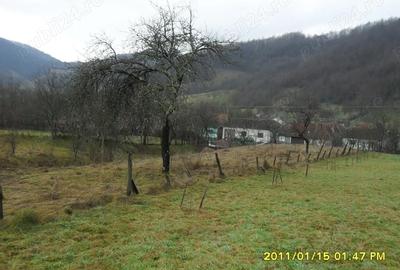 Teren de 1924 mp, în Moneasa - 6