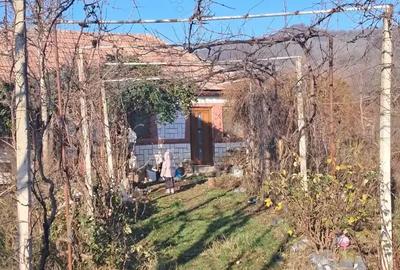 Casa batraneasca si teren. - 4