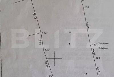 Teren de 9066 mp, în Aninoasa - 3