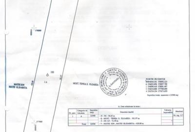 Târgoviște Teren de vânzare – 22.500 mp, Zonă în plină dezvoltare! - 1