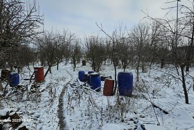 Casa de vanzare Singureni, Giurgiu - 5