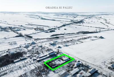 Casă individuală cu 2 camere cu Teren 1600 Mp în Cetariu - 4