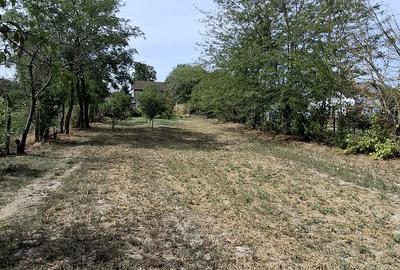 Stradal DN7, vila semifinisata - 11