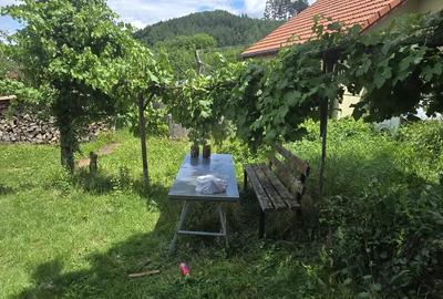 Casa de vanzare la intrarea in Sacele zona lini?tita, teren 346 mp, toate utilita?ile - 5