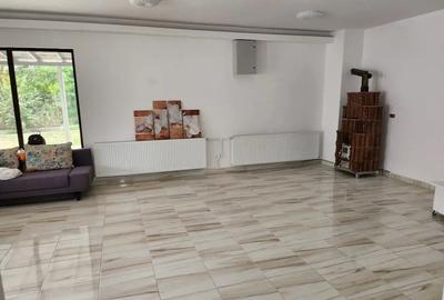 Inchiriez spatiu comercial si casa in comuna Pangarati la DN - 3