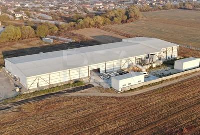 Hala temperatura controlata | Depozitare/Productie | Vidra\Cretesti - 3