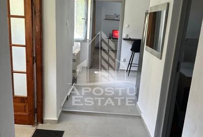 Doua apartamente la curte comuna , zona Iosefin - 8