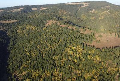 Teren de 162000 mp, în Platonești - 1