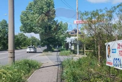 Teren de 4340 mp, în Albert - 2