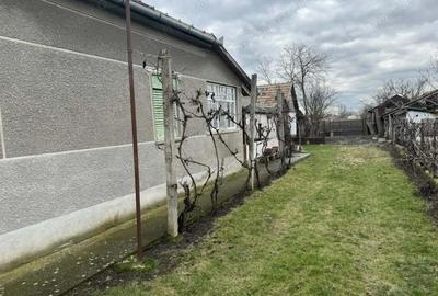 Casă cu 4 camere cu Teren 3611 Mp în Iratoșu - 1