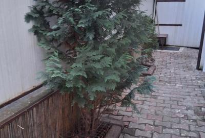 Vanzare aprtament cu 1 camera + terasa - 6