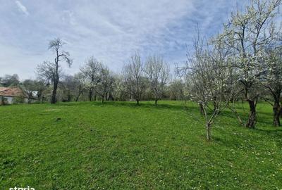 Spațiu comercial, în Ghioșești - 11