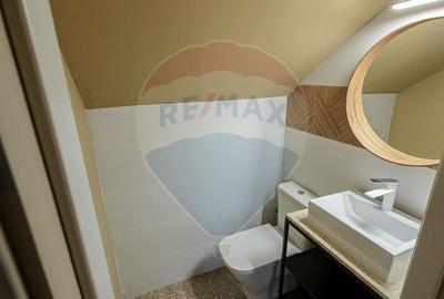 Vila de vanzare in zona Piata Alba Iulia - 28