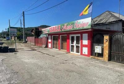 Casă cu Teren 827 Mp în Glâmbocu - 1