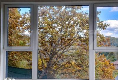 Casă cu 4 camere cu Teren 456 Mp în Sava - 5