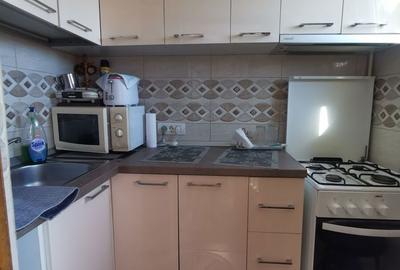 Apartament cu 2 camere semidecomandat în Valea Rosie - 5