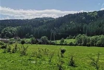 Teren cu proiect casa, in vecinatatea padurii Bradet, Brasov - 7