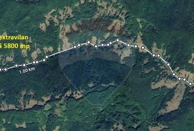 Teren 5800 mp, Valea Sasului, sat Dalghiu, com Vama Buzaului - 2