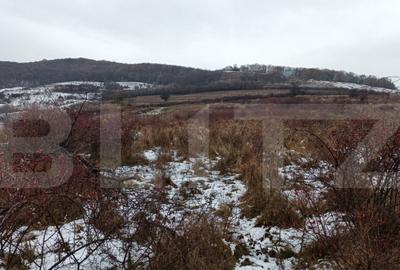 Teren de vanzare, 3900 mp, zona skit - 1