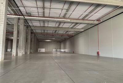 Spatii de depozitare si productie Otopeni - Odai - 4