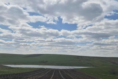 Teren de 130000 mp, în Gropnița - 5