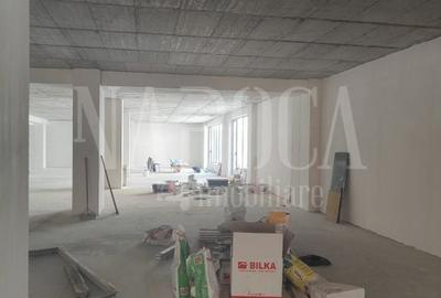 Spațiu comercial, de 530 mp, în Plopilor - 3