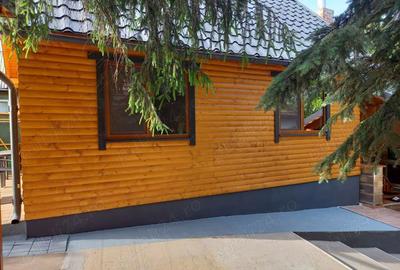 Vind 2 case Carei Satu-Mare,singur in curte - 10