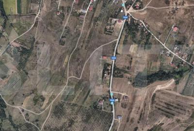 Teren de 16969 mp, în Borhanci